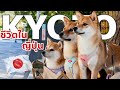 ค่ายาหมาชิบะ หลักหมื่น อยากเลี้ยงหมาต้องดูคลิปนี้!! Vlog 🇯🇵🇹🇭