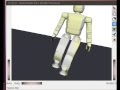 OpenHubo Balance on one foot - Humanoid Robot