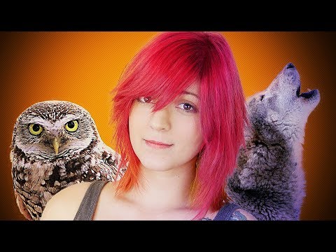 utiliser-les-cris-d'animaux-en-chanson