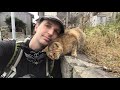 Exploring Abandoned Islands in Japan (featuring cute cats)