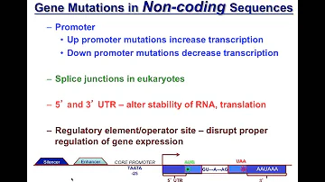 Unit7A Mutagenesis and Repair DNA Sequene Mutations