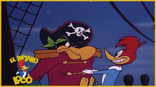 El Pájaro Loco Episodio Completo | Pirata el pájaro loco | Dibujos Animados | Caricaturas
