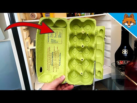 THIS is why you should NEVER throw away the Egg Carton 💥 (Surprisingly GENIUS) 🤯