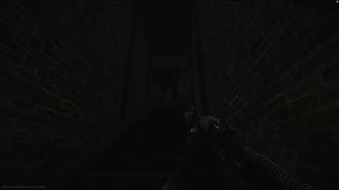 Escape from tarkov (bug report)