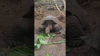 Galapagos #ecuador #ecuadorprimero  #turismodeaventura #turismointerno #Visita #galapagosexploration by CCAT PROD 125 views 5 months ago 3 minutes, 40 seconds