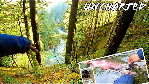 Untouched Giants: UNCHARTED Salmon River High in the Mountains!