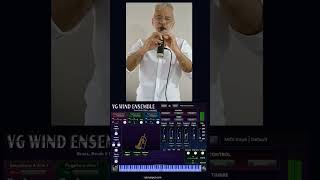 VG Wind Ensemble VST AU Plugin Flugelhorn sound and Robkoo Clarii mini wind controller