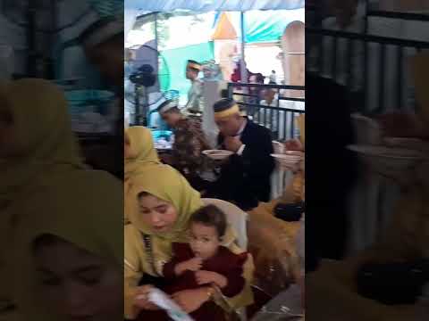 pesta pengantin bugis