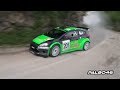 31° Rally Prealpi Orobiche 2014 - Pure Sound [HD]
