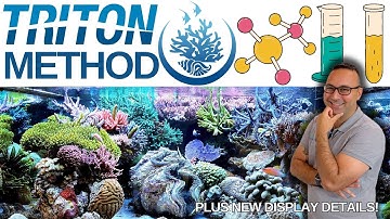 Understanding the Triton Method - Plus new display details!