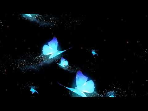 شاشه سوداء مجاني بدون حقوق كرومات تصميم شاشة معتمه فراشات بجودة 4