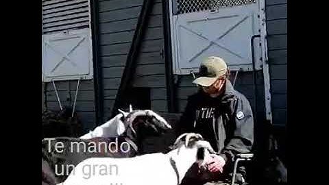 Yo no lo creia hasta que lo vi
