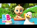 🦆Cinq canetons - Comptines et chansons pour enfants | BB LouLou