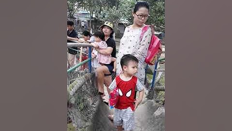 Du lịch hồ núi cốc. Câu cá sấu