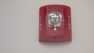 University System Sensor SPSR (SpectrAlert Advance Speaker Strobe) Fire Alarm