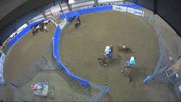 Big Sky Ranch Sorting Saddle Series #4 - #7 SORT - Round #1 - Ride #22