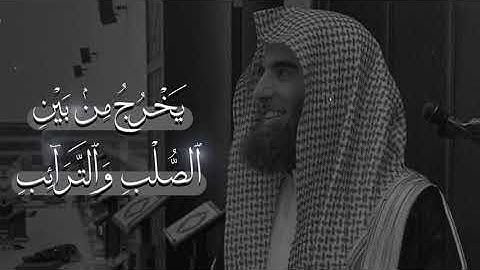 سورة الطَّارِق  اسم القارئ: محمد اللحيدان🌺