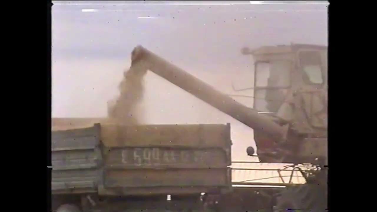 Совхоз нива. Совхоз нива