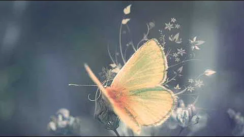 Mike Rowland - Breath