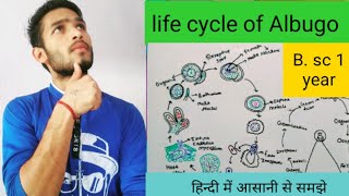 Life cycle of Albugo in hindi