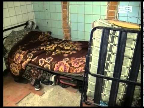 თვითნებურად შესახლებულები ელექტროენერგიის მიწოდებას ითხოვენ