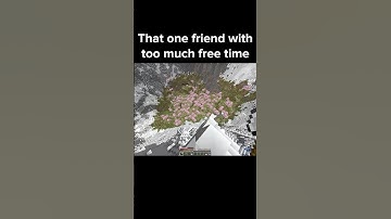 Minecraft Friend Moment