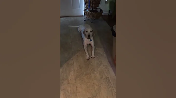Abby says I love you and hello!