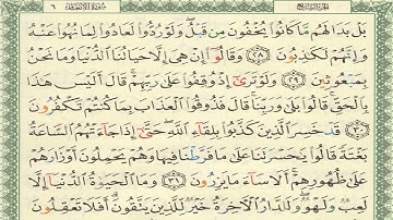 القرآن الكريم أيمن سويد الصفحة 131