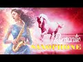 Animals Relax - Romantic Saxophone - Jazz Music - Best Instrumental Music 2024