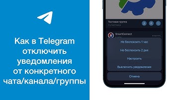 Как отключить уведомления от конкретного чата, канала или группы в Telegram