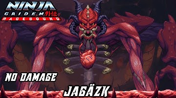Ninja Gaiden: Ragebound - FINAL BOSS: Jagäzk [No Damage | Hard]