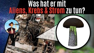 Im tschernobyl-reaktor: mysteriöser pilz frisst strahlung!