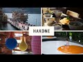 3年ぶりの旅行vlog in 箱根【X-E4 / XF35mm F1.4 R / OSMO Action 4】