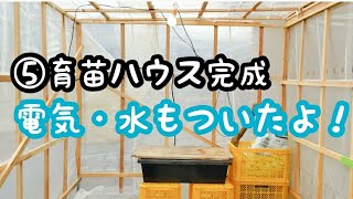ビニールハウス 温室式 木製栽培ベッド 1台 幅10 奥行800 高さ650 温室 Gapless ビニールハウス 温室式 木製栽培ベッド 1台 幅10 奥行800 高さ650 温室 Gapless