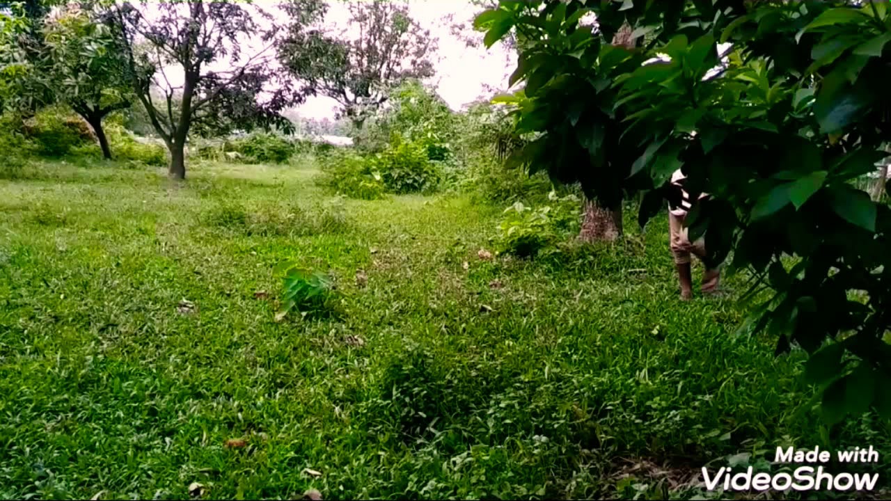 New Funny video Ato moja lage dekhle Khali dekhte Mon chai . Very
