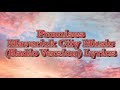 Promises - Maverick City Music (Radio Version) Lyrics