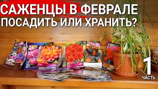 видео: Саженцы в феврале  - посадить или хранить? картинка: Саженцы в феврале  - посадить или хранить?
