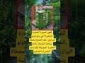 ت ظهر الصورة العمارة الخضراء في ساو باولو البرازيل اكسبلور الله اقنباسات دويتو 100 ترند ت ظهر الصورة العمارة الخضراء في ساو باولو البرازيل اكسبلور الله اقنباسات دويتو 100 ترند