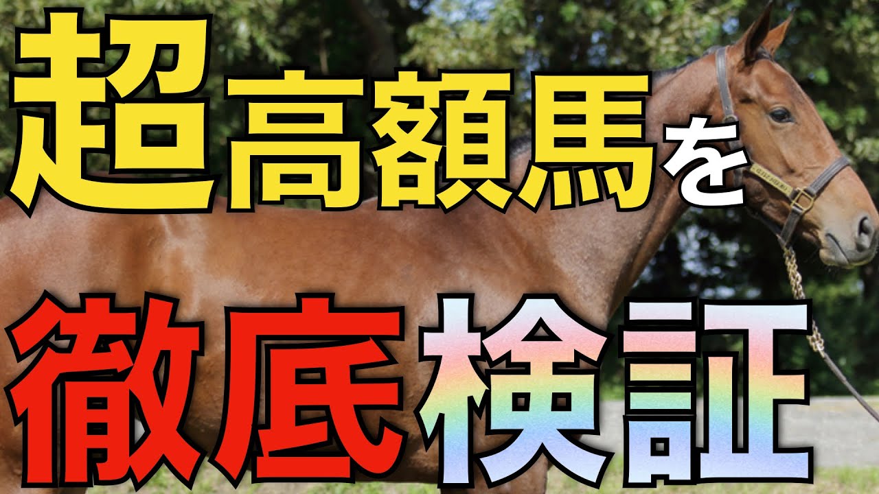 この世代の超高額馬は本当に走るのか？募集額1億円超えを一気に検証。