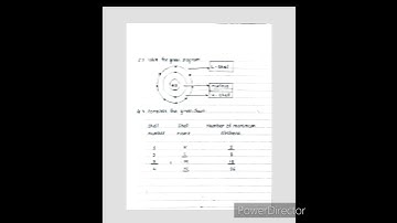 bridge course class 9 th science activity 5-6-7