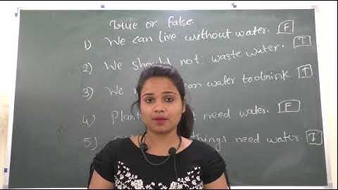 ""TRUE & FALSE "  TYPES  CLASS 2 QUESTION NCERT KIDS LEARING