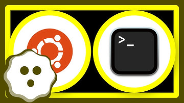 How do I scroll up using a keyboard using the terminator terminal emulator?