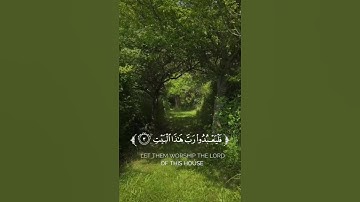 القارئ هارون الحمادي  سوة قريش #سورة_قريش #اكسبلور #explore