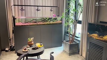 Tận Hưởng Vẻ Đẹp Tự Nhiên Với Đèn Bể Cá UFO F8 PRO #denbeca #cacanh #zetlight