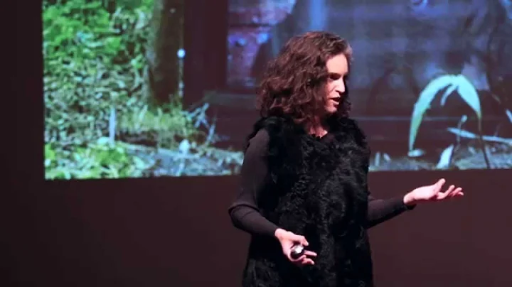 The art and science behind chimpanzee TV | Rachel Mayeri | TEDxClaremontCol...