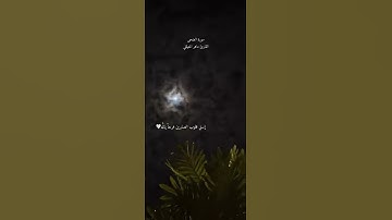 سورة الضحى القارئ ماهر المعيقلي🤍#القرآن_الكريم#ماهر_المعيقلي#سورة_الضحى