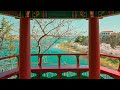 [4K HDR] Exploring Gangwon Province 2021 in Yeongrang Lake and Sokcho Beach Relaxing Nature Sounds