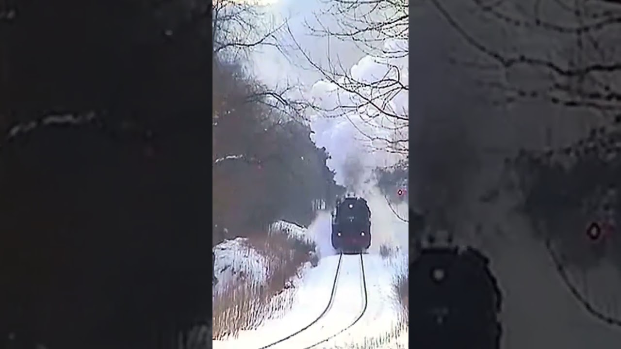 41 1231 mit Krawall übern Rennsteig 