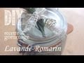 Diy Tuto: Recette de Gommage Lavande-Romarin Diy Tuto: Recette de Gommage Lavande-Romarin