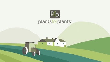 Van Iperen International & LandLab   Plants 4 Plants   HR   NL